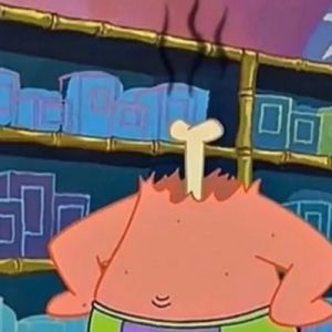 Meet your Posher, Marlyn